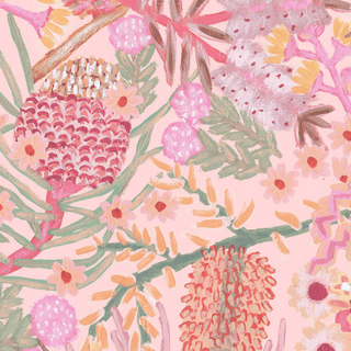 Blushing Banksia