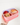 The Bento - Silicone Container - Cotton Candy