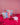 The Handy Trio - Pouch Set - Sugarplum