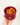 The Snacker - Silicone Container - Burgundy