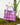 The Graze - Lunch Bag - Wanderland